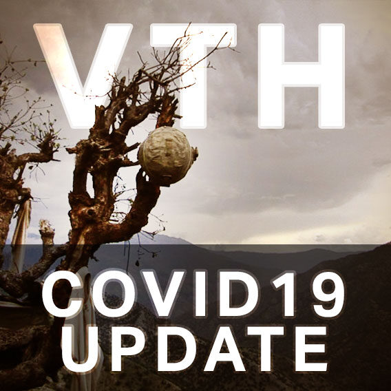 VTH-ICON-COVID